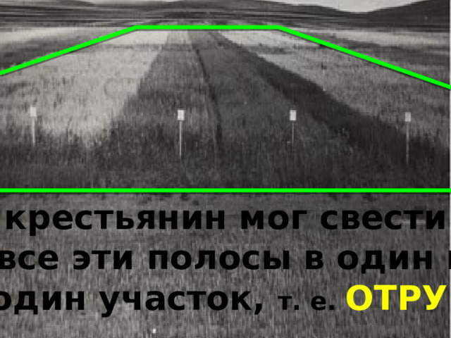 крестьянин мог свести все эти полосы в один в  один участок, т. е. ОТРУБ  1 