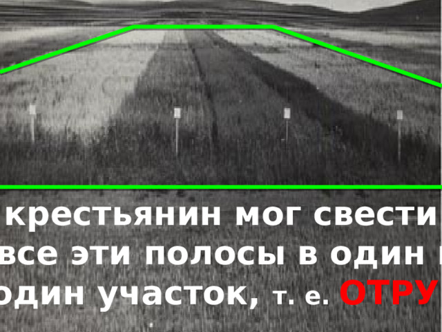 крестьянин мог свести все эти полосы в один в  один участок, т. е. ОТРУБ  1 