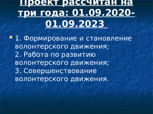 Проект рассчитан на 4 года