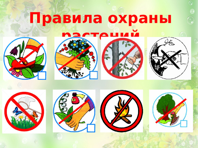 Правила охраны растений 