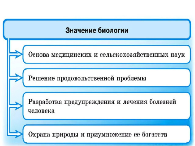 Биология в жизни каждого проект 5 класс