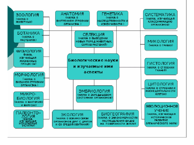 Научные перечни. Биологические науки и изучаемые ими аспекты. Науки в биологии список и что они изучают. Науки биологии ЕГЭ. Подразделения биологии на отдельные науки.