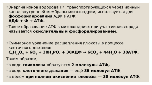 Энергия ионов водорода H + , транспортирующихся через ионный канал внутренней мембраны митохондрии, используется для фосфорилирования АДФ в АТФ:  АДФ + Ф → АТФ. Такое образование АТФ в митохондриях при участии кислорода называется окислительным фосфорилированием . Суммарное уравнение расщепления глюкозы в процессе клеточного дыхания:  C 6 H 12 O 6 + 6O 2 + 38H 3 PO 4 + 38АДФ → 6CO 2 + 44H 2 O + 38АТФ. Таким образом, в ходе гликолиза образуются 2 молекулы АТФ, в ходе клеточного дыхания — ещё 36 молекул АТФ , в целом при полном окислении глюкозы — 38 молекул АТФ . 