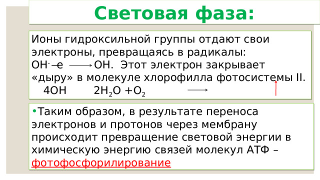 Световая фаза: Ионы гидроксильной группы отдают свои электроны, превращаясь в радикалы: ОН - е ОН. Этот электрон закрывает «дыру» в молекуле хлорофилла фотосистемы II.  4ОН 2Н 2 О +О 2  Таким образом, в результате переноса электронов и протонов через мембрану происходит превращение световой энергии в химическую энергию связей молекул АТФ – фотофосфорилирование  