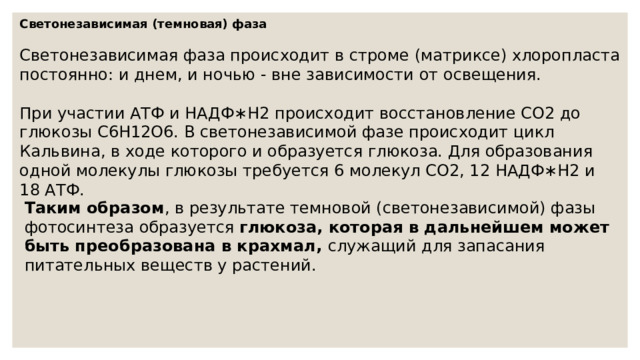 Светонезависимая (темновая) фаза Светонезависимая фаза происходит в строме (матриксе) хлоропласта постоянно: и днем, и ночью - вне зависимости от освещения. При участии АТФ и НАДФ∗H2 происходит восстановление CO2 до глюкозы C6H12O6. В светонезависимой фазе происходит цикл Кальвина, в ходе которого и образуется глюкоза. Для образования одной молекулы глюкозы требуется 6 молекул CO2, 12 НАДФ∗H2 и 18 АТФ. Таким образом , в результате темновой (светонезависимой) фазы фотосинтеза образуется глюкоза, которая в дальнейшем может быть преобразована в крахмал, служащий для запасания питательных веществ у растений. 