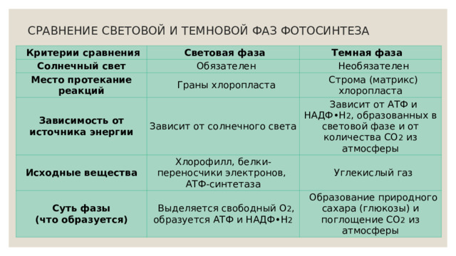 Сравнение световой и Темновой фазы фотосинтеза. Сопоставьте с изображением вещества участвующие в фотосинтезе.