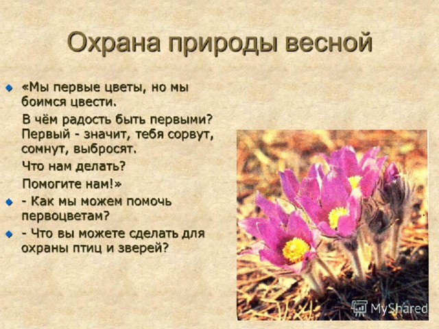 Правила охраны природы кратко