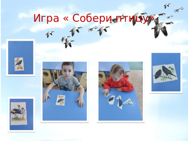 Игра « Собери птицу» 