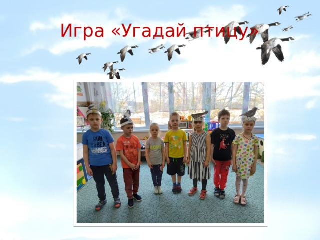 Игра «Угадай птицу» 