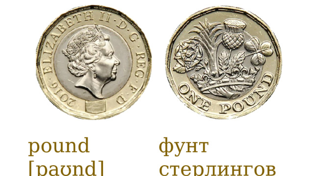 pound [paʊnd] фунт стерлингов 