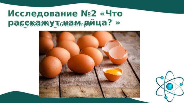 Исследование №2 «Что расскажут нам яйца? » VID_20230413_164529.mp4 