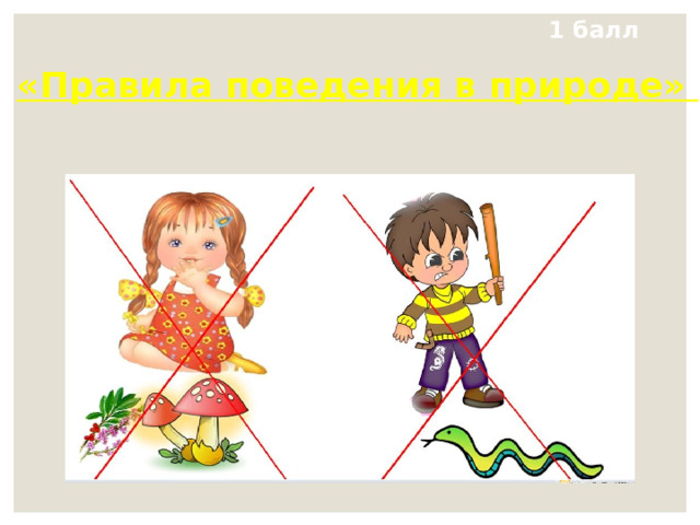 1 балл «Правила поведения в природе» 