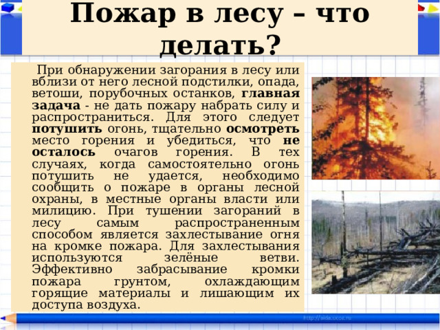 Пожар в лесу – что делать?  При обнаружении загорания в лесу или вблизи от него лесной подстилки, опада, ветоши, порубочных останков, главная задача - не дать пожару набрать силу и распространиться. Для этого следует потушить огонь, тщательно осмотреть место горения и убедиться, что не осталось очагов горения. В тех случаях, когда самостоятельно огонь потушить не удается, необходимо сообщить о пожаре в органы лесной охраны, в местные органы власти или милицию. При тушении загораний в лесу самым распространенным способом является захлестывание огня на кромке пожара. Для захлестывания используются зелёные ветви. Эффективно забрасывание кромки пожара грунтом, охлаждающим горящие материалы и лишающим их доступа воздуха. 
