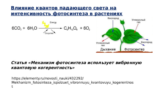 Влияние квантов падающего света на интенсивность фотосинтеза в растениях Статья «Механизм фотосинтеза использует вибронную квантовую когерентность» https://elementy.ru/novosti_nauki/432292/Mekhanizm_fotosinteza_ispolzuet_vibronnuyu_kvantovuyu_kogerentnost 