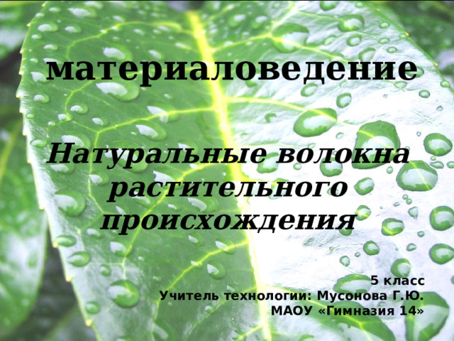 материаловедение  Натуральные волокна растительного происхождения 5 класс Учитель технологии: Мусонова Г.Ю. МАОУ «Гимназия 14» 