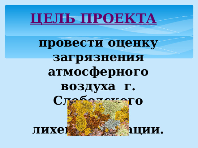 ЦЕЛЬ ПРОЕКТА провести оценку загрязнения атмосферного воздуха г. Слободского методом лихеноиндикации. 