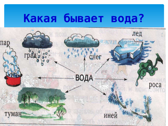Презентация "Царица водица"