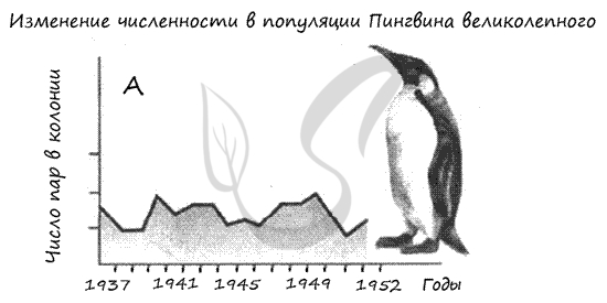 Практическая работа на тему "Естественный прирост" для 7 класса