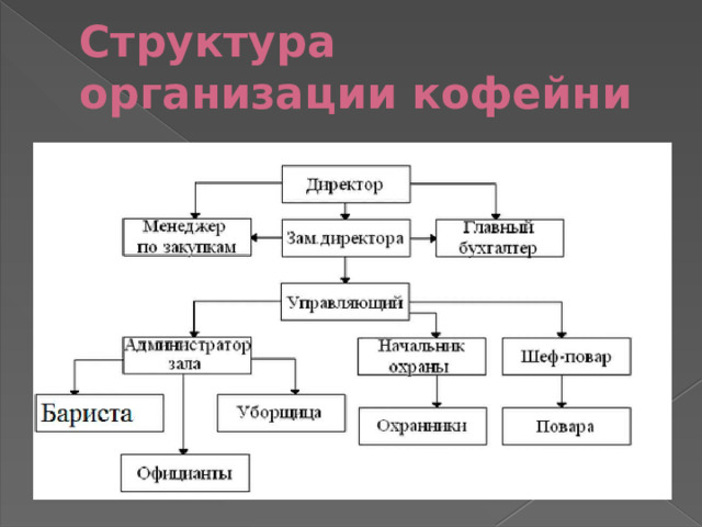 Структура организации кофейни 