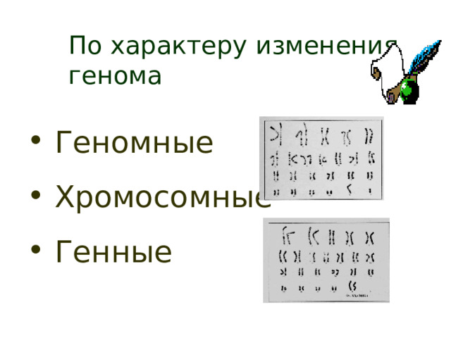 По характеру изменения генома  Геномные  Хромосомные  Генные 