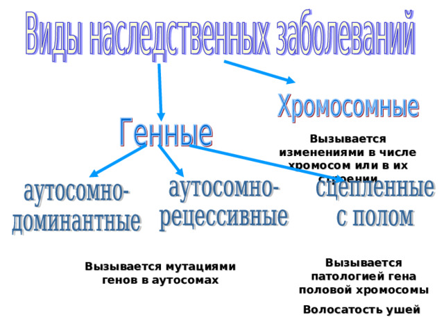 Вызывается изменениями в числе хромосом или в их строении Вызывается патологией гена половой хромосомы Волосатость ушей Вызывается мутациями генов в аутосомах 
