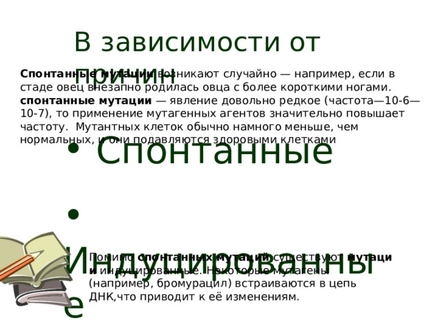В зависимости от причин Спонтанные мутации  возникают случайно — например, если в стаде овец внезапно родилась овца с более короткими ногами. спонтанные   мутации  — явление довольно редкое (частота—10-6—10-7), то применение мутагенных агентов значительно повышает частоту.  Мутантных клеток обычно намного меньше, чем нормальных, и они подавляются здоровыми клетками  Спонтанные  Индуцированные Помимо  спонтанных   мутаций  существуют  мутации  индуцированные. Некоторые мутагены (например, бромурацил) встраиваются в цепь ДНК,что приводит к её изменениям. 