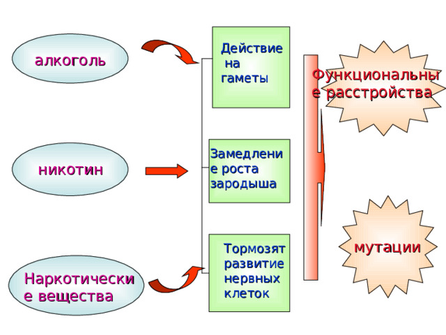 Действие  на  гаметы алкоголь Функциональные расстройства Замедление роста зародыша никотин мутации Тормозят развитие нервных клеток Наркотические вещества 