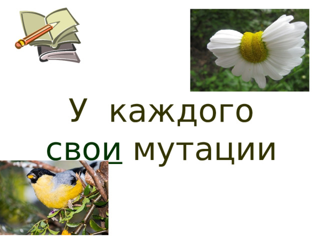У каждого свои мутации 