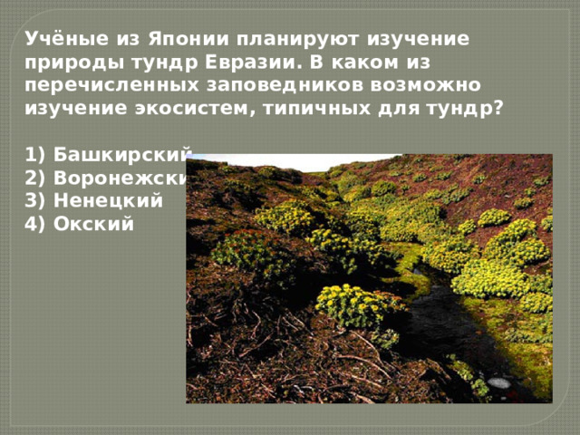 Учёные из Японии планируют изучение природы тундр Евразии. В каком из перечисленных заповедников возможно изучение экосистем, типичных для тундр?  1) Башкирский  2) Воронежский  3) Ненецкий  4) Окский 