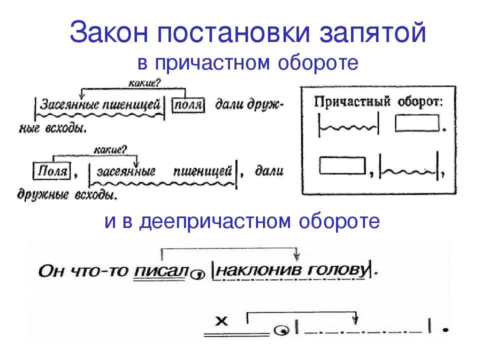 Русский язык графическая схема