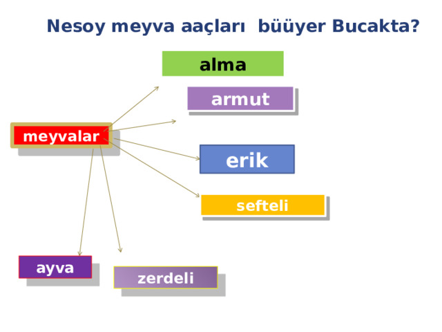 Nesoy meyva aaçları büüyer Bucakta? alma armut meyvalar erik sefteli ayva zerdeli 