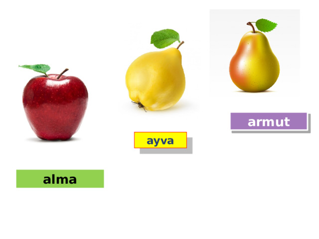 armut ayva alma 