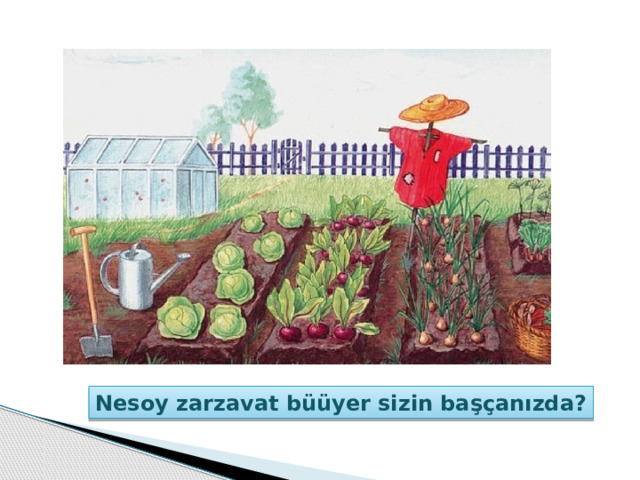 Nesoy zarzavat büüyer sizin başçanızda? 