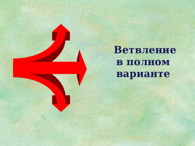  Ветвление в полном варианте 