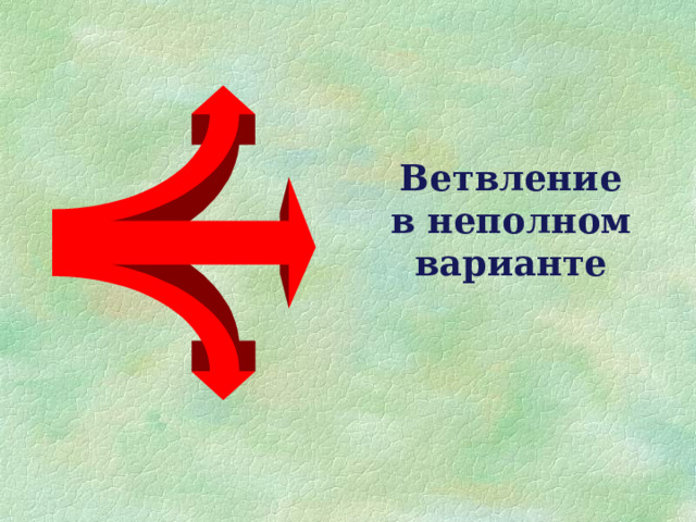  Ветвление в неполном варианте 