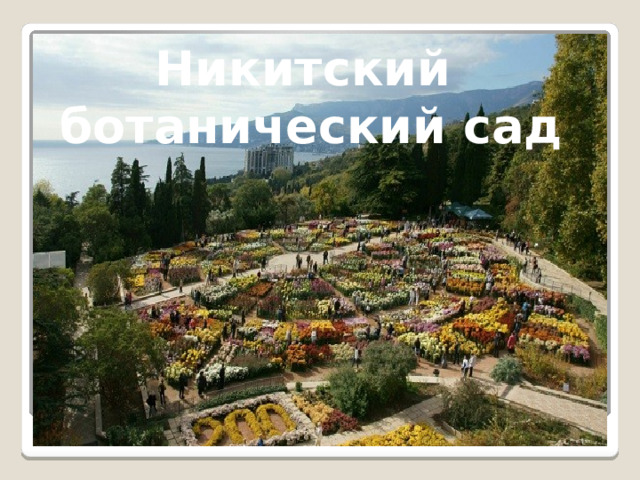 Никитский ботанический сад 