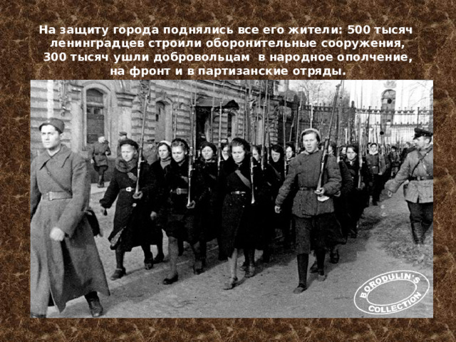 На защиту города поднялись все его жители: 500 тысяч  ленинградцев строили оборонительные сооружения,  300 тысяч ушли добровольцам в народное ополчение,  на фронт и в партизанские отряды.   