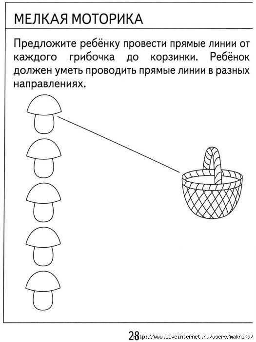 Домашние задания 2 года. Тесты для дошкольников 4 года. Развивающие тесты для детей 4-5 лет. Психологические тесты для детей 4-5 лет. Задания для детей 2-4 лет.