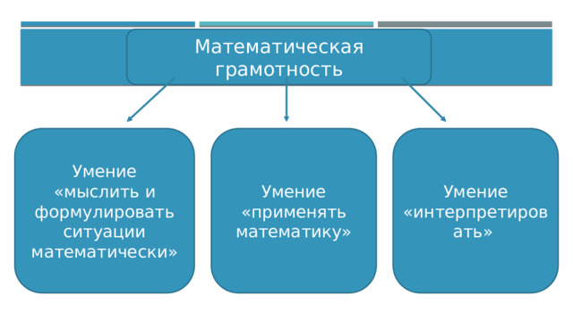 Математическая грамотность 8 класс