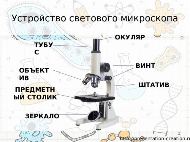 Увеличительный прибор предметный столик микроскопа тубус