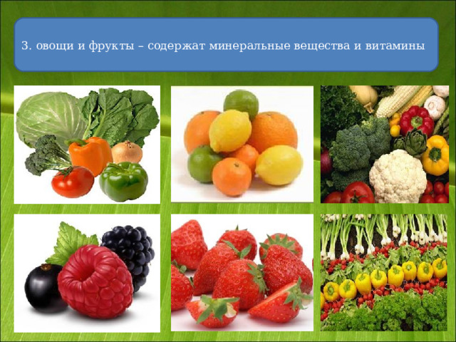 3. овощи и фрукты – содержат минеральные вещества и витамины 