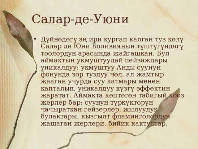 Салар-де-Уюни Дүйнөдөгү эң ири кургап калган туз көлү Салар де Юни Боливиянын түштүгүндөгү тоолордун арасында жайгашкан. Бул аймактын укмуштуудай пейзаждары уникалдуу: укмуштуу Анды суунун фонунда зор туздуу чөл, ал жамгыр жааган учурда суу катмары менен капталып, уникалдуу күзгү эффектин жаратат. Аймакта көптөгөн табигый кооз жерлер бар: суунун түркүктөрүн чачыраткан гейзерлер, жылуулук булактары, кызгылт фламинголордун жашаган жерлери, бийик кактустар. 