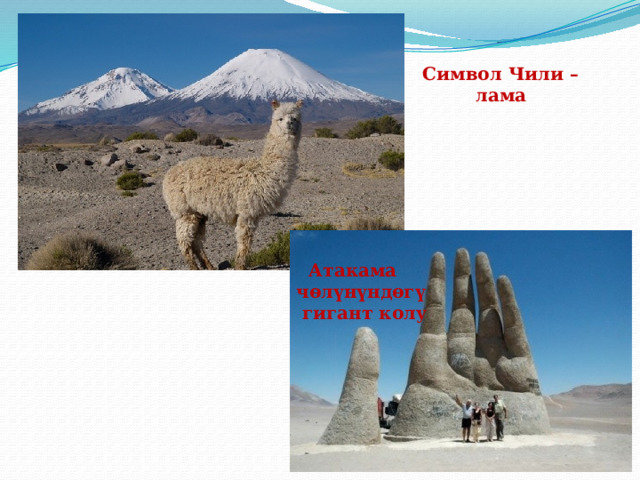 Символ Чили – лама  Атакама чөлүнүндөгү  гигант колу 