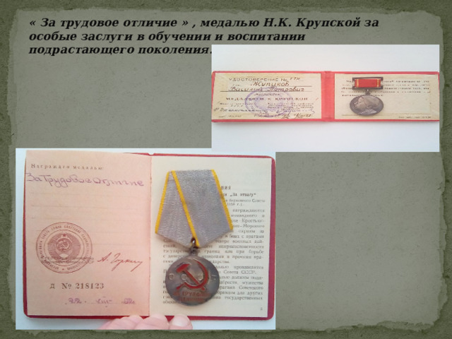 « За трудовое отличие » , медалью Н.К. Крупской за особые заслуги в обучении и воспитании подрастающего поколения. 