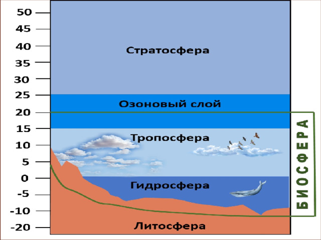 Связь биосферы с гидросферой. Верхняя граница биосферы. Границы биосферы. Вещественный состав биосферы. Где находится нижняя граница биосферы в воде.