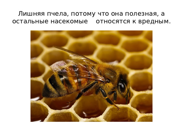 Лишняя пчела, потому что она полезная, а остальные насекомые относятся к вредным. 