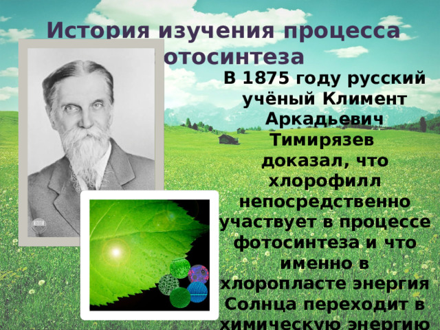 История изучения процесса фотосинтеза В 1875 году русский учёный Климент Аркадьевич Тимирязев доказал, что хлорофилл непосредственно участвует в процессе фотосинтеза и что именно в хлоропласте энергия Солнца переходит в химическую энергию углеводов  (книга «Жизнь растений»). 