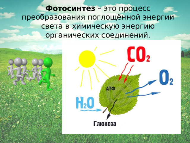 Фотосинтез – это процесс преобразования поглощённой энергии света в химическую энергию органических соединений. 