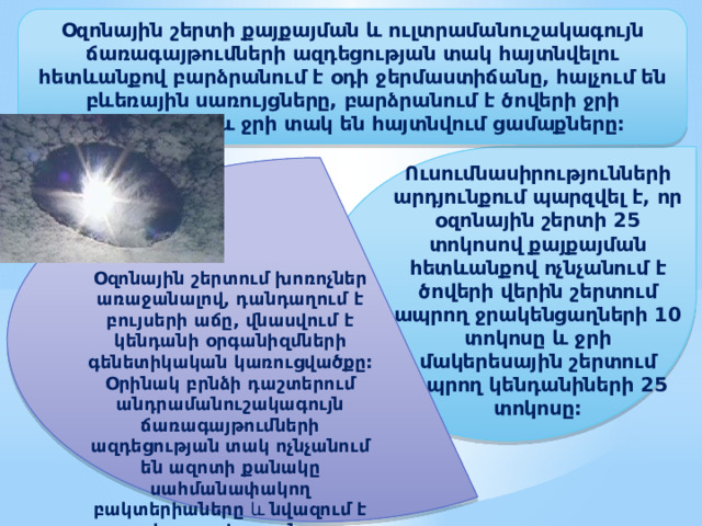  Օզոնային շերտի քայքայման և ուլտրամանուշակագույն ճառագայթումների ազդեցության տակ հայտնվելու հետևանքով բարձրանում է օդի ջերմաստիճանը, հալչում են բևեռային սառույցները, բարձրանում է ծովերի ջրի մակարդակը և ջրի տակ են հայտնվում ցամաքները:    Ուսումնասիրությունների արդյունքում պարզվել է, որ օզոնային շերտի 25 տոկոսով քայքայման հետևանքով ոչնչանում է ծովերի վերին շերտում ապրող ջրակենցաղների 10 տոկոսը և ջրի մակերեսային շերտում ապրող կենդանիների 25 տոկոսը: Օզոնային շերտում խոռոչներ առաջանալով, դանդաղում է բույսերի աճը, վնասվում է կենդանի օրգանիզմների գենետիկական կառուցվածքը: Օրինակ բրնձի դաշտերում անդրամանուշակագույն ճառագայթումների ազդեցության տակ ոչնչանում են ազոտի քանակը սահմանափակող բակտերիաները և նվազում է բերքատվությունը: 