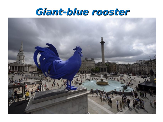Giant-blue rooster 